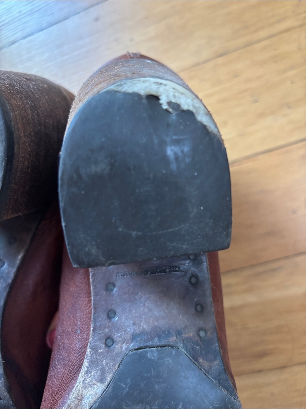 Frye Lucinda Tall Scrunch Boots - Picture 8 of 9